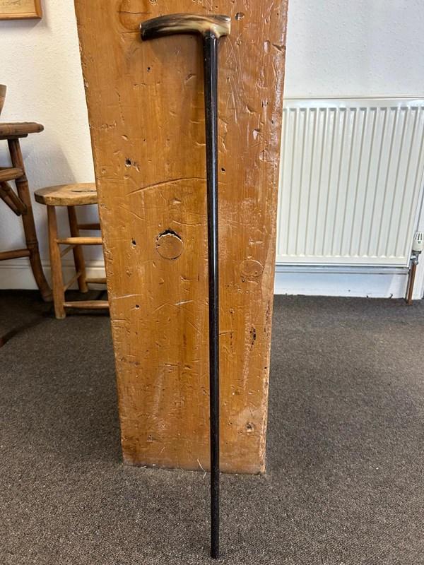 abbeyhorn Horn Handle Walking Stick