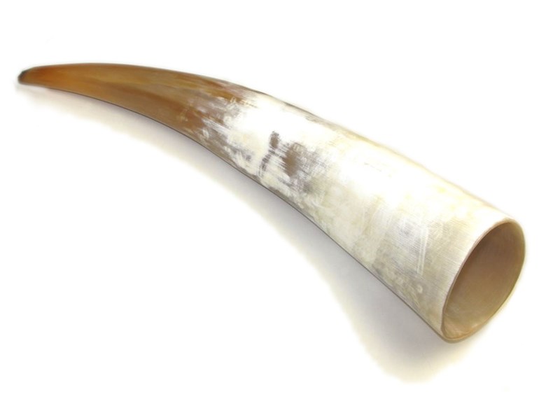 abbeyhorn Polished Horn - 10"
