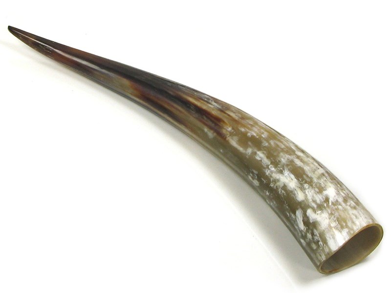 abbeyhorn Polished Horn - 15"