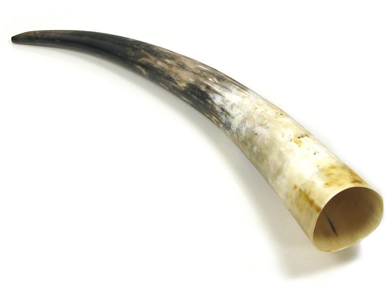 abbeyhorn Polished Horn - 20"