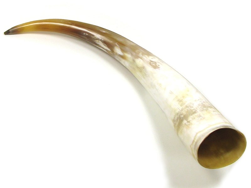 abbeyhorn Polished Horn - 25"