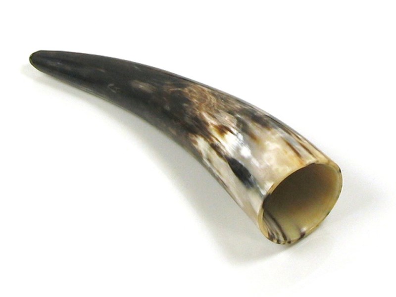 abbeyhorn Polished Horn - 8"