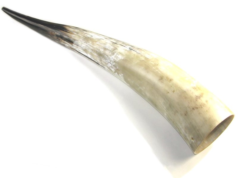 abbeyhorn Polished Horn - Extra Large - 30"