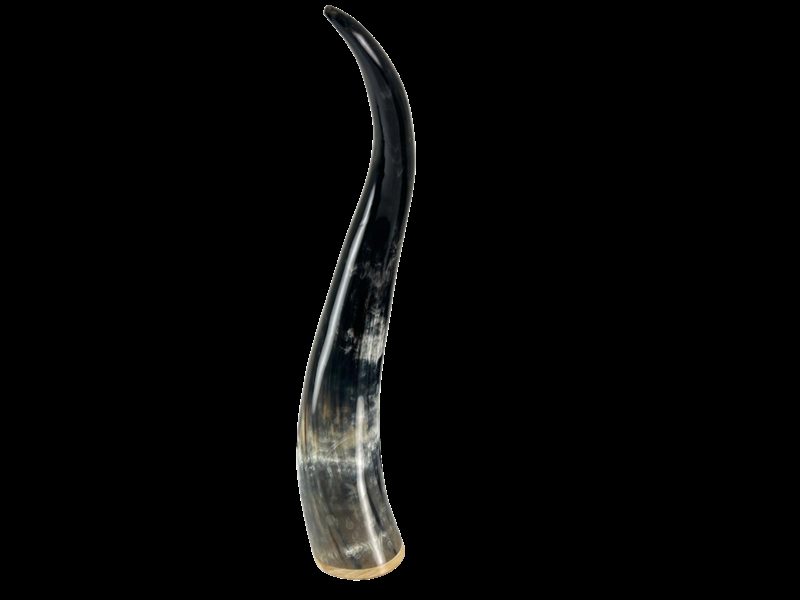 abbeyhorn Polished Horn Ornament with Wooden Base