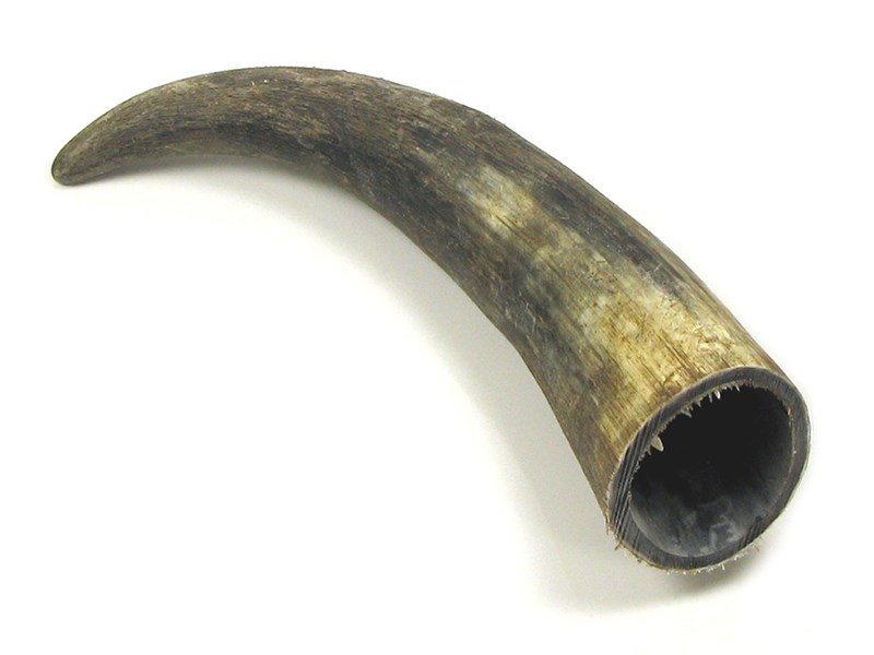 abbeyhorn Raw Horn - 15"