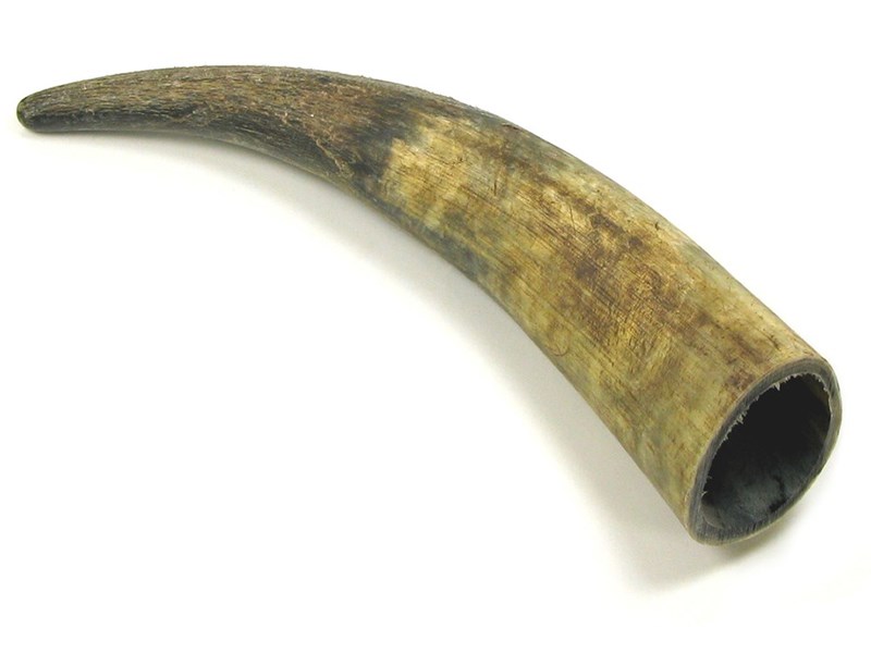 abbeyhorn Raw Horn - 20"