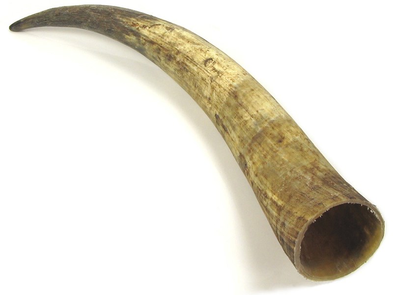 abbeyhorn Raw Horn - 25"