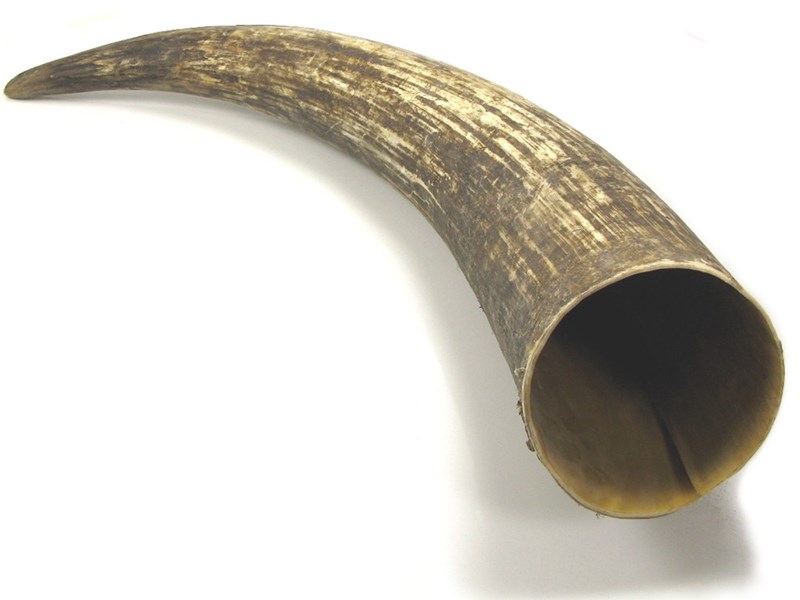 abbeyhorn Raw Horn - Wide Mouthed