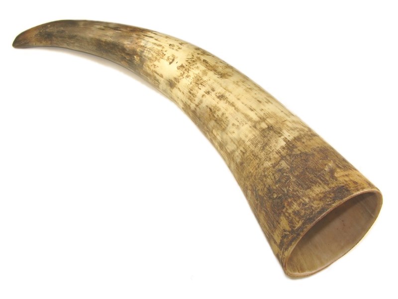 abbeyhorn Rough Horn - 10"
