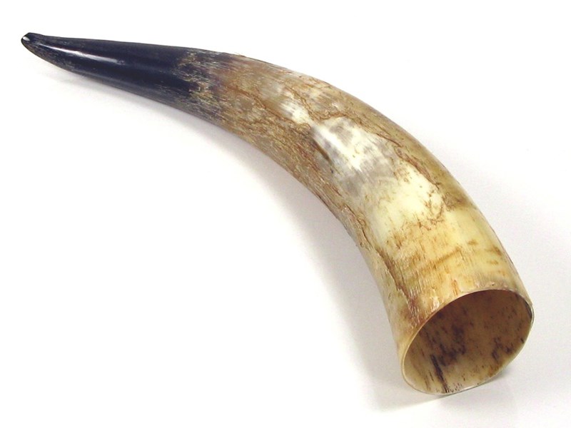 abbeyhorn Rough Horn - 20"