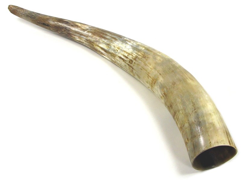 abbeyhorn Rough Horn - 25"