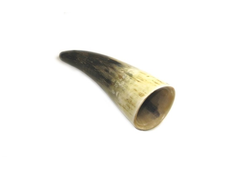abbeyhorn Rough Horn - 5"