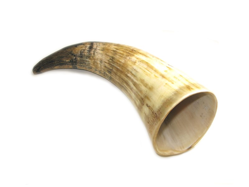 abbeyhorn Rough Horn - 8"