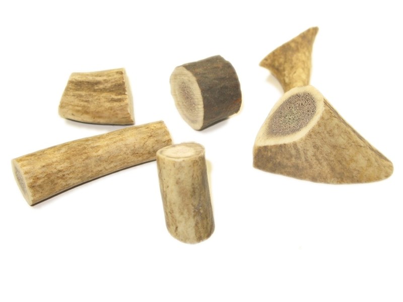 abbeyhorn Stag Antler Bits - Small