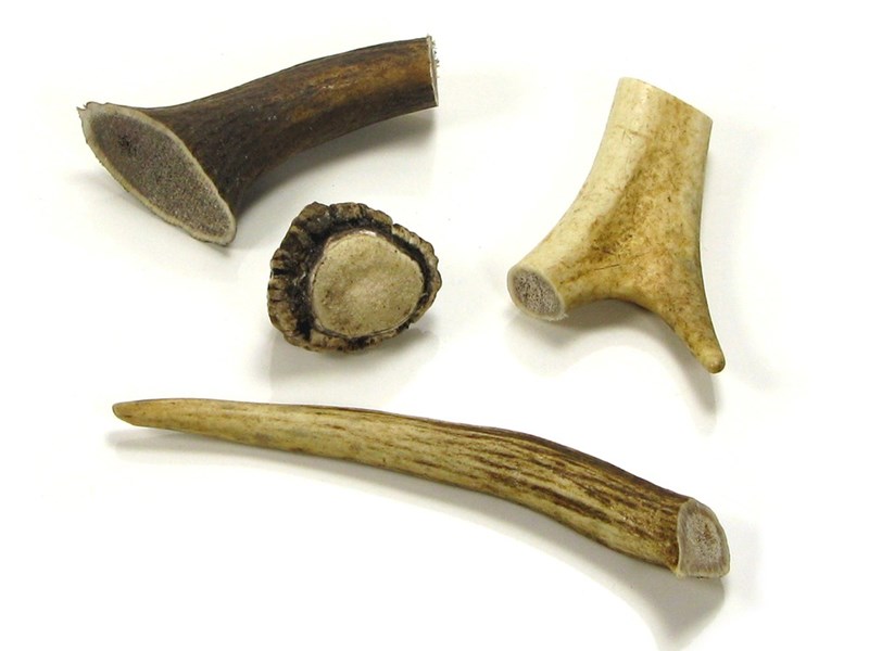 abbeyhorn Stag Antler Bits