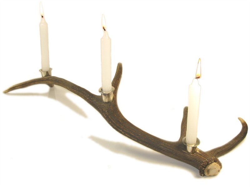 abbeyhorn Stag Antler Candle Holder