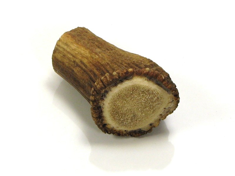 abbeyhorn Stag Antler Crown