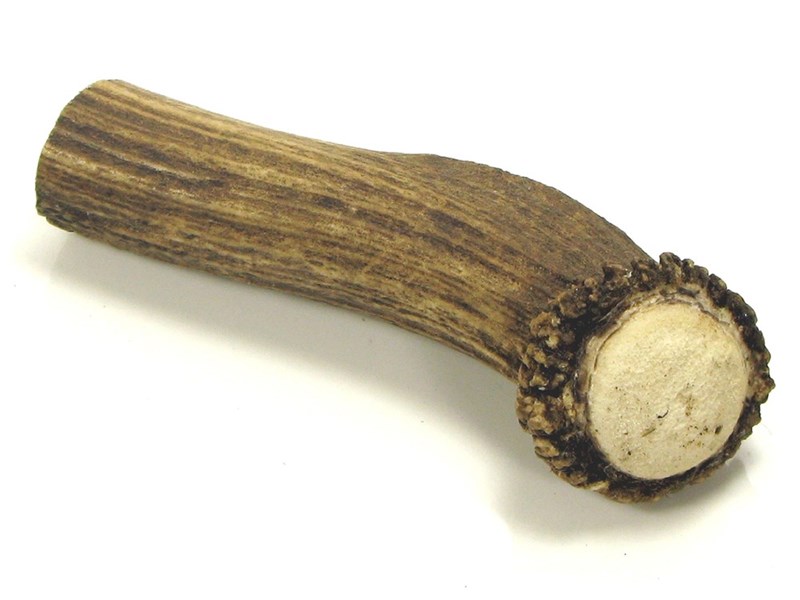 abbeyhorn Stag Antler Handle - Crown