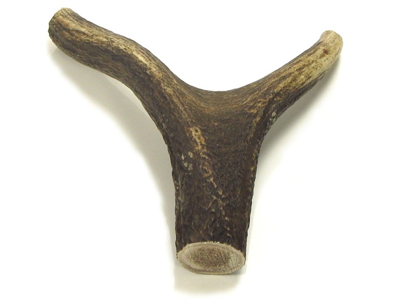 abbeyhorn Stag Antler Handle - Y Shaped