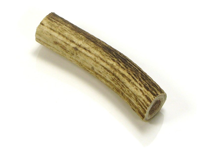 abbeyhorn Stag Antler Roll - 4"