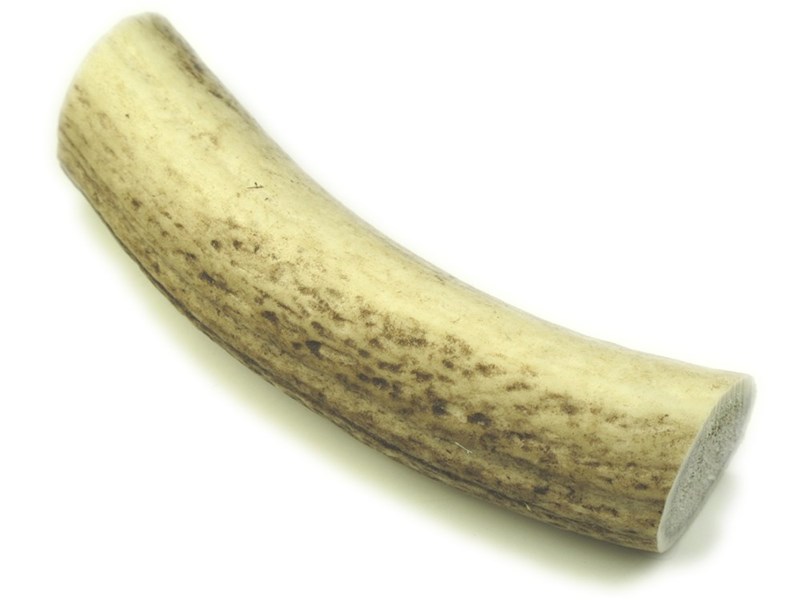 abbeyhorn Stag Antler Roll - 6"