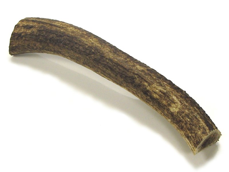 abbeyhorn Stag Antler Roll - 9"