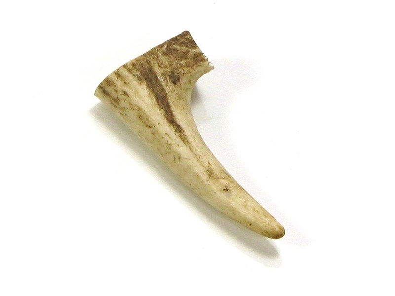 abbeyhorn Stag Antler Tynes - Small