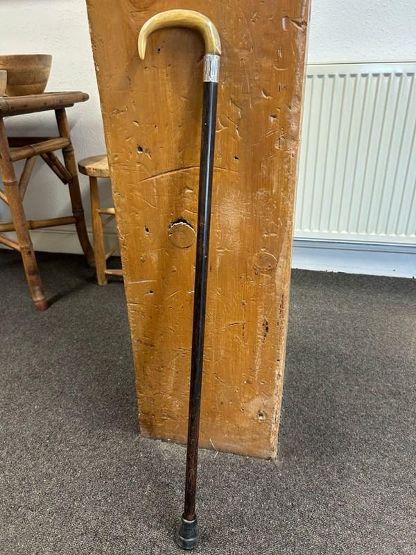 abbeyhorn Walking Cane with Horn Handle