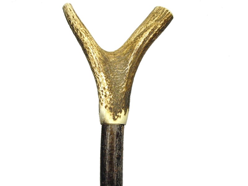 abbeyhorn Y Shaped Thumb Stag Antler Walking Stick