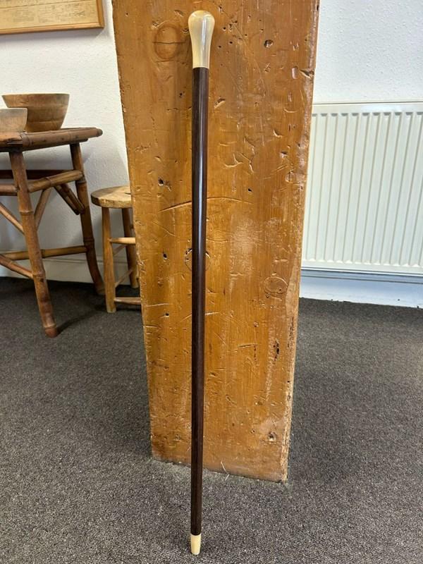 abbeyhorn Mahogany Walking Cane with Horn Handle & Ferrule