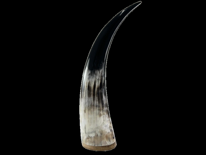 abbeyhorn Polished Horn Ornament with Wooden Base - Small