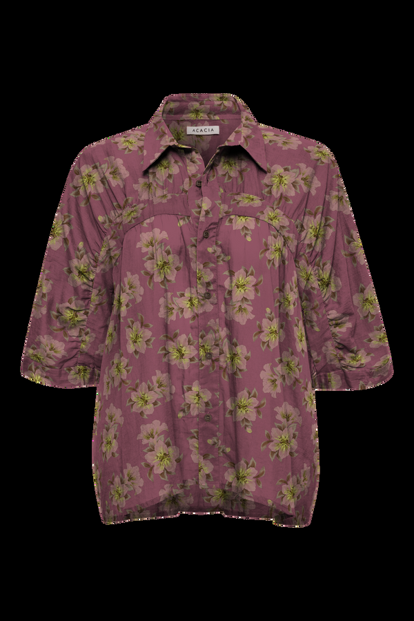 Acacia DERBY TOP - SUMMER 2025 Fir