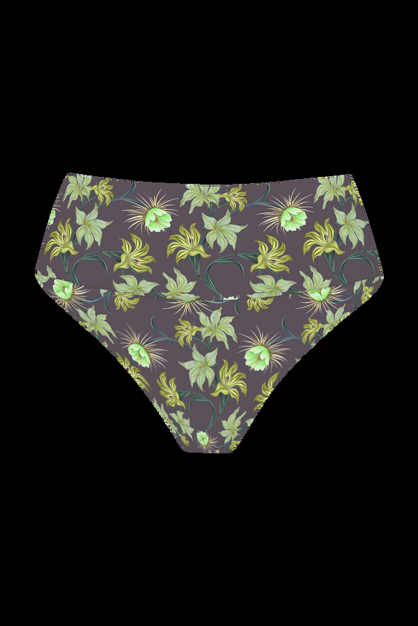 Acacia ECHO BOTTOM - RESORT 2025 Amal