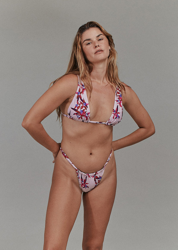 Acacia LEVI BOTTOM - FALL 2023 Zinnia