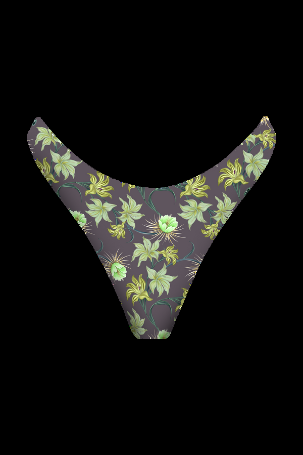 Acacia OSLO BOTTOM - RESORT 2025 Amal