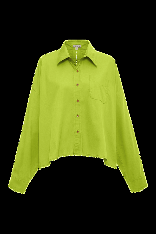 Acacia SCOUT COTTON TOP - FALL 2024 Bear