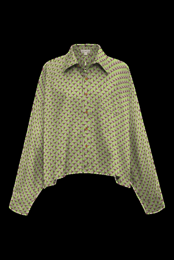 Acacia SCOUT COTTON TOP - FALL 2024 Bear