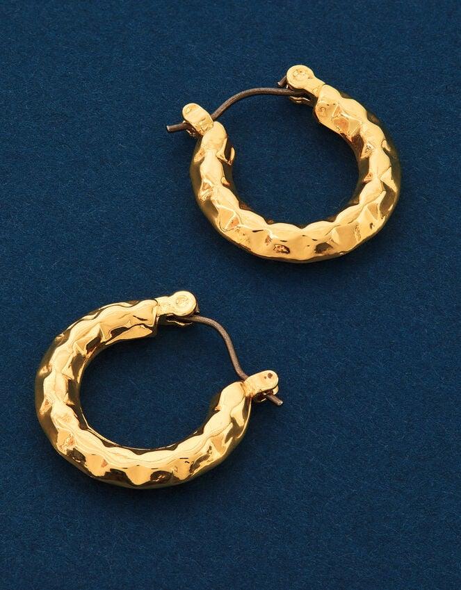 Accessorize 14ct Gold-Plated Diamond Cut Horseshoe Hoop Earrings