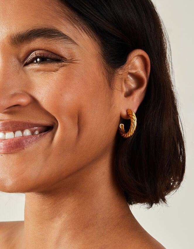 Accessorize 14ct Gold-Plated Twist Chunky Hoop Earrings