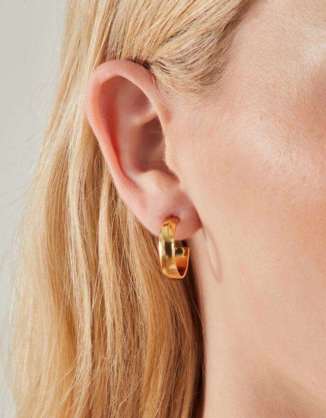 Accessorize 14ct Gold-Plated Chunky Hoop Earrings