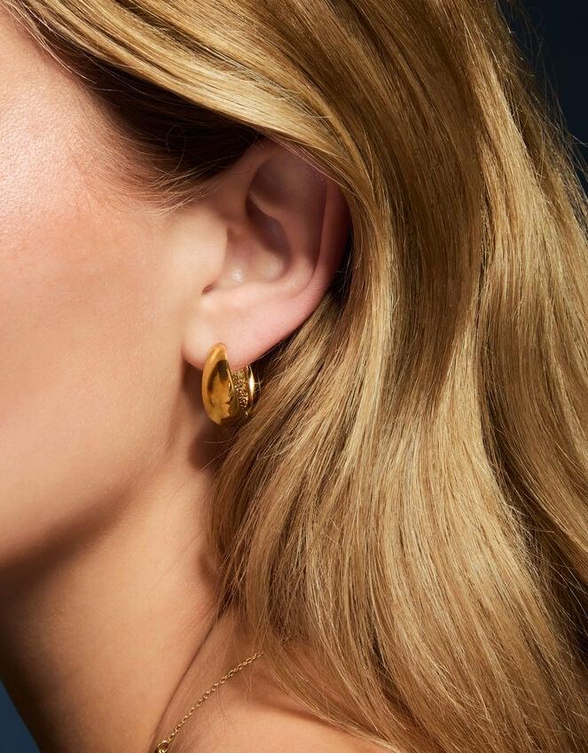 Accessorize 14ct Gold-Plated Clasp Hoop Earrings