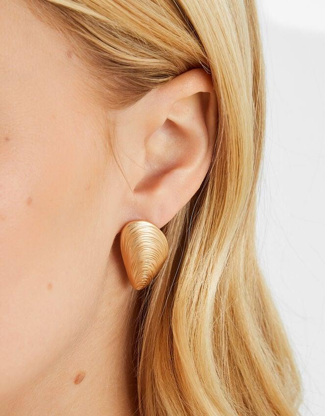 Accessorize Brushed Seashell Stud Earrings