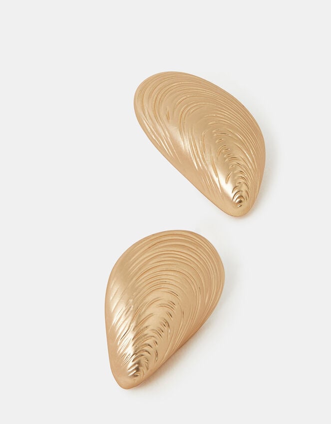 accessorize Brushed Seashell Stud Earrings