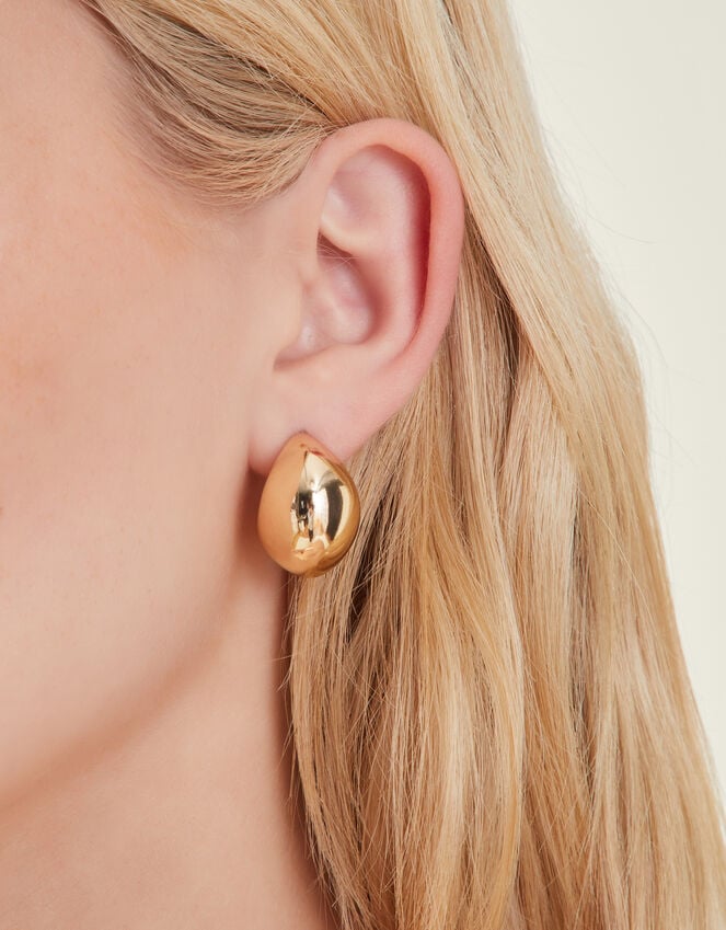 Accessorize Chunky Curve Drop Earrings