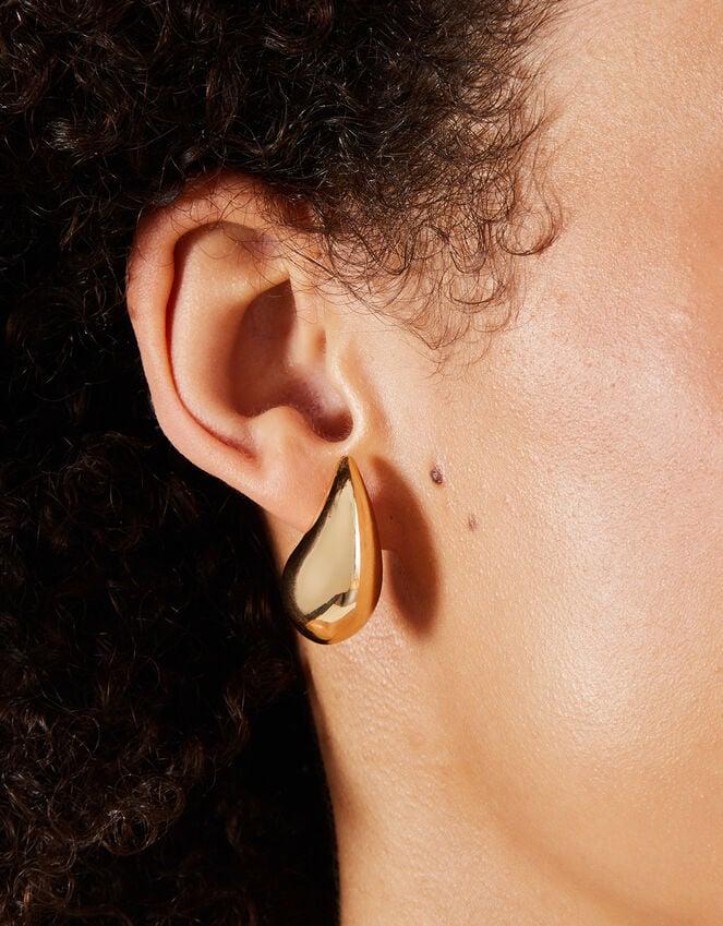 Accessorize Drop Curve Earrings