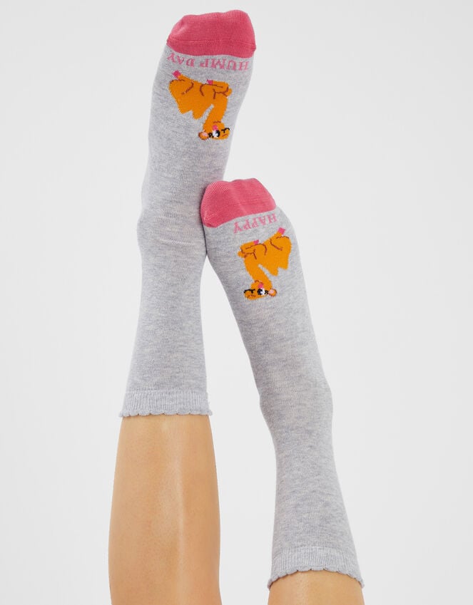 Accessorize Happy Hump Day Socks