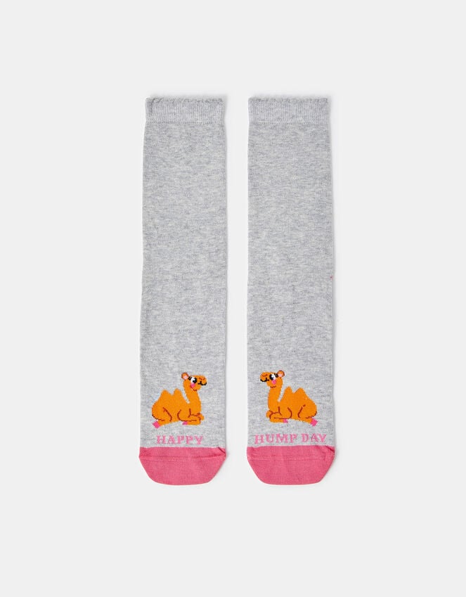 accessorize Happy Hump Day Socks