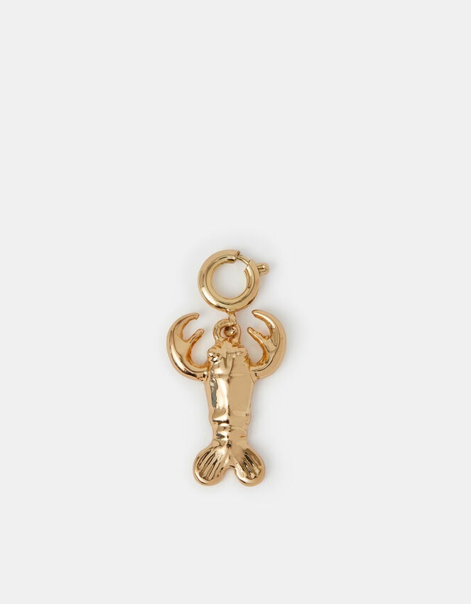 Accessorize Lobster Jewellery Charm