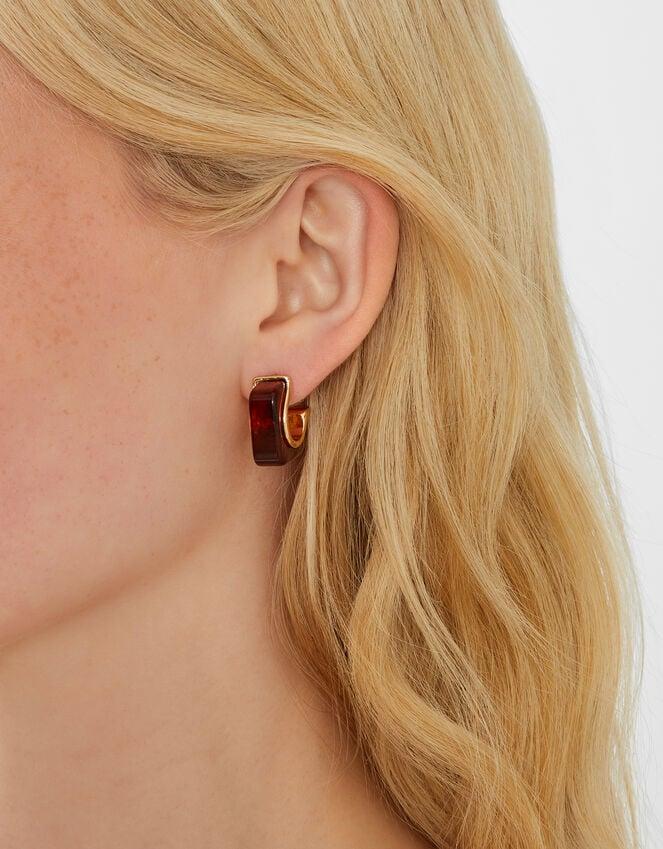 Accessorize Resin Square Hoop Earrings