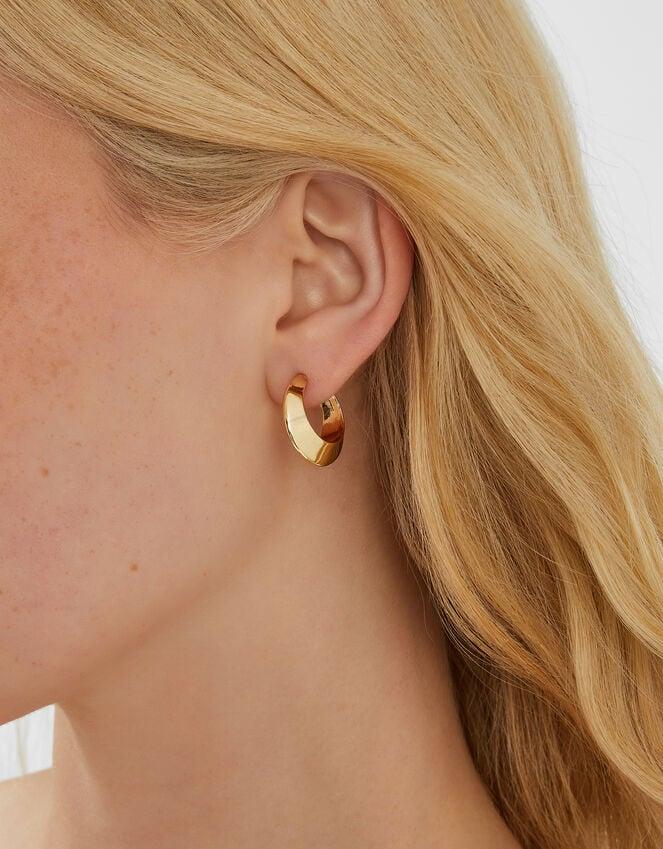 accessorize Small Chunky Hoop Earrings